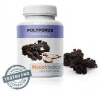MycoMedica Polyporus 90 cps. 