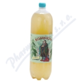 Kombucha Kopiva 2l